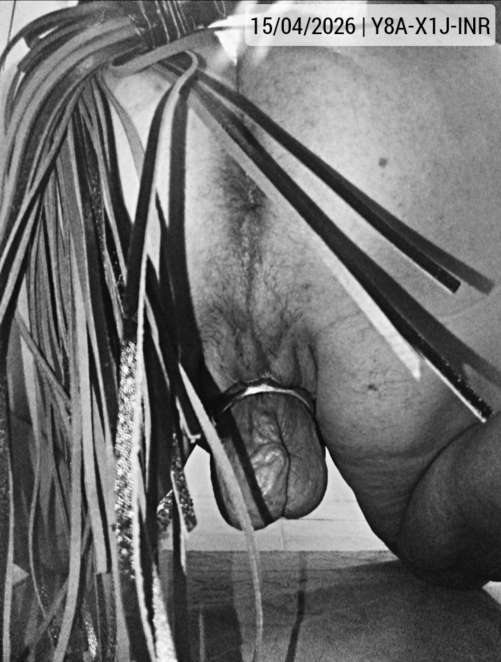 15-04-2026 | [Period] 27 [Caged] 60/76 [Cage] 6 | #humpday caged and with cuddles from the leather flogger, to warm things up! 👋🥵🛐👊🖤🔒