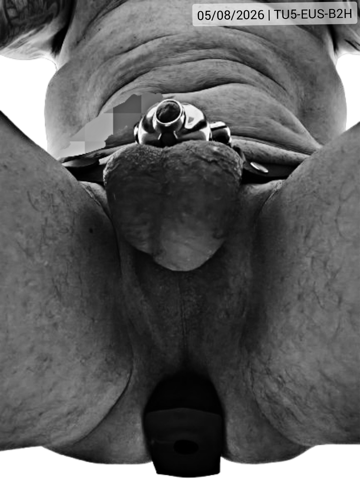 05-08-2026 | Period 29 | Day 93/222 | Cage 5 | Year 209 | Owned 168 | For #humpday, I got to choose a different cage that allows for catheter use, but the Major ordered a slave cunt training and a doggy-style position! ♾️⛓️🛐👊🖤🔒🔌